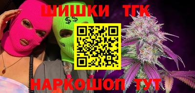 мдпв Татарск